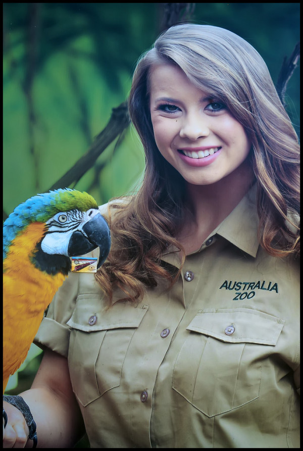 barbie bindi irwin