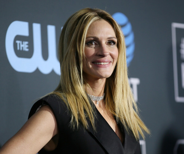 Truth About Julia Roberts Husband Danny Moder Envious Of Her Acting With Denzel Washington Celebrity